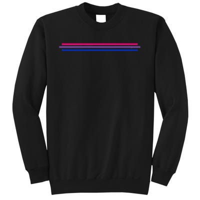 Bisexuality Flag LGBT Bi Pride Co Sweatshirt