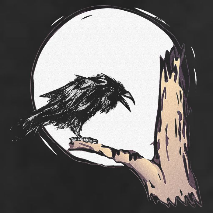 Bird Full Moon Crow Spooky Raven Gothic Halloween Adult Drive Performance Visor