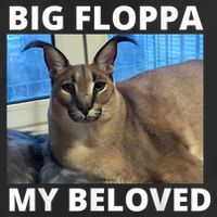 Big Floppa My Beloved Caracal Cat Meme 7 Panel Mesh Trucker Snapback Hat