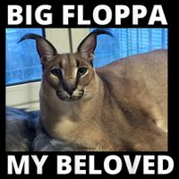 Big Floppa My Beloved Caracal Cat Meme Cooling Performance Crew T-Shirt