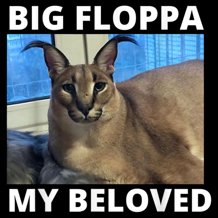 Big Floppa My Beloved Caracal Cat Meme Sustainable Bucket Hat