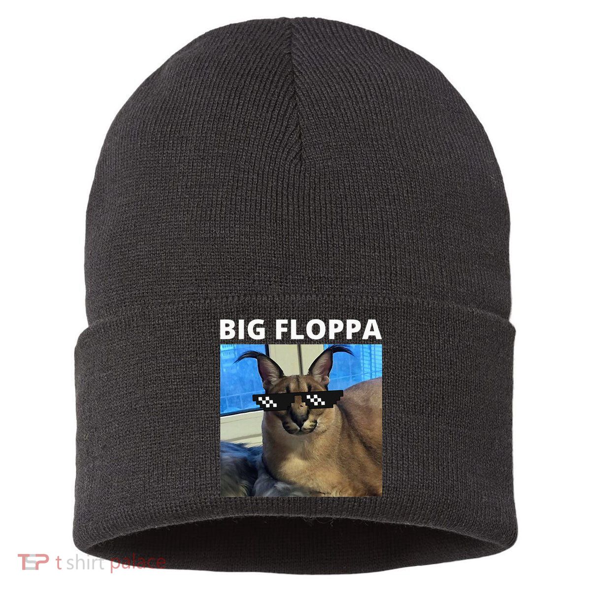 Big Floppa Meme Cat Sustainable Knit Beanie