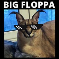 Big Floppa Meme Cat Women's Crop Top Tee