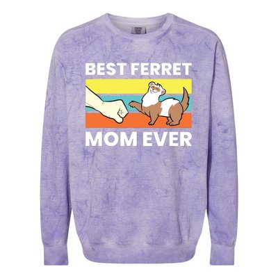 Best Ferret Mom Ever Love Ferret Colorblast Crewneck Sweatshirt