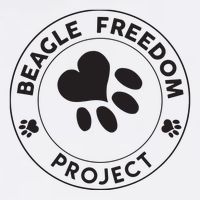 Beagle Freedom Project Rescue Dogs Free The Beagles Cooling Performance Crew T-Shirt