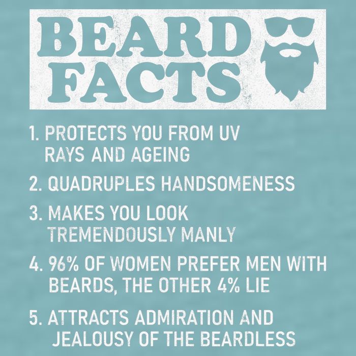 Beard Facts Protects Ageing Makes Manly Funny Bearded Dad Sueded Cloud Jersey T-Shirt