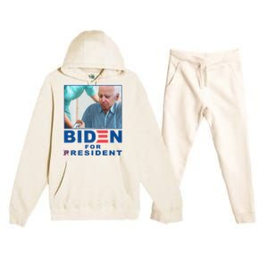 Biden For Resident Funny Biden Nursing Premium Hooded Sweatsuit Set