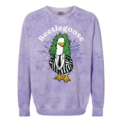 Beetlegoose Funny Silly Goose Spooky Design Funny Goose Costume Music Characters Colorblast Crewneck Sweatshirt