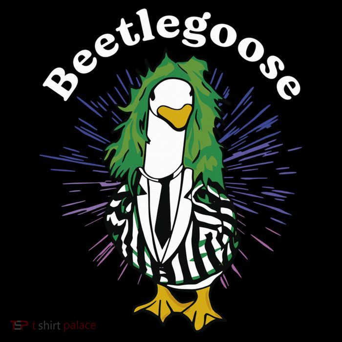 Beetlegoose Funny Silly Goose Spooky Design Funny Goose Costume Music Characters Kids Hoodie