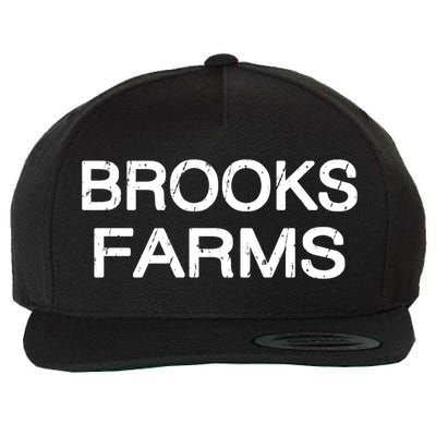 Brooks Farms Squad Family Reunion Last Name Team Great Gift Wool Snapback Cap