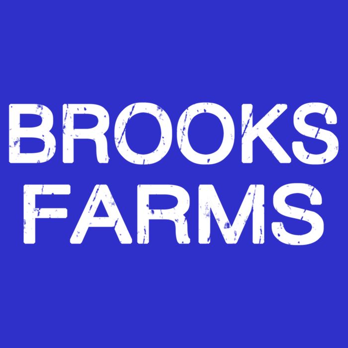 Brooks Farms Squad Family Reunion Last Name Team Great Gift 16 in Basic Backpack