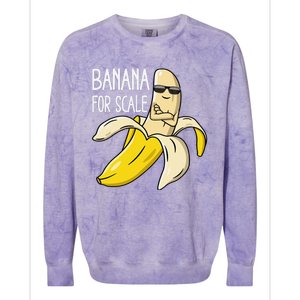 Banana For Scale Colorblast Crewneck Sweatshirt