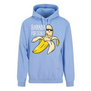 Banana For Scale Unisex Surf Hoodie