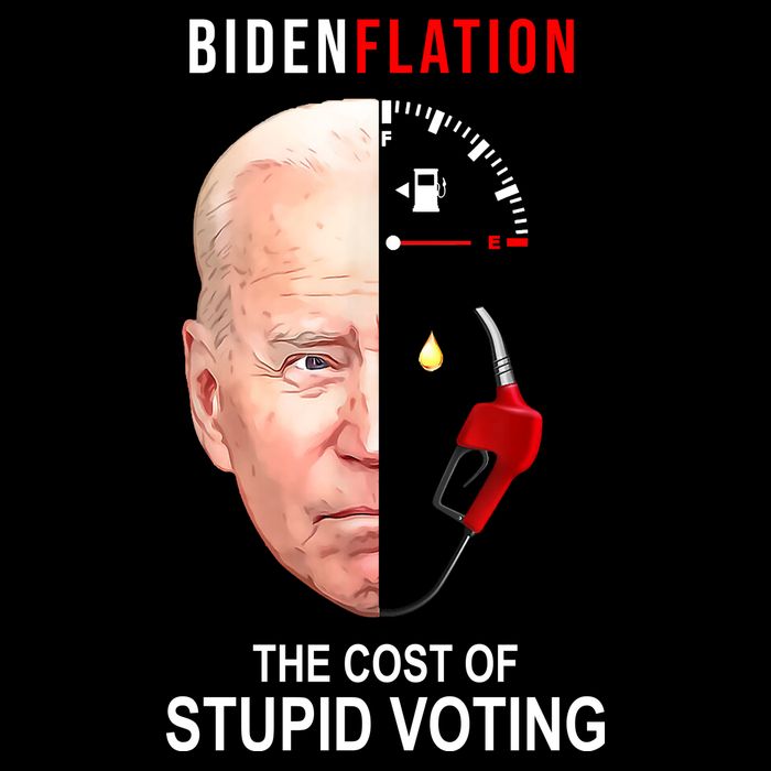 Biden Flation The Cost Of Stupid Voting Gas Funny Apron
