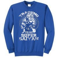 Bodybuilder Funny Workout Fitness Gym Sweatshirt