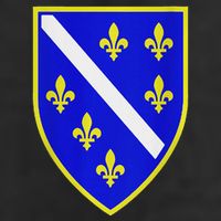 Bosnian Flag With Lily Garment-Dyed Fleece Hoodie