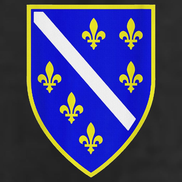 Bosnian Flag With Lily Garment-Dyed Fleece Hoodie