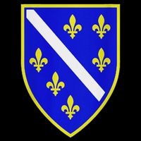 Bosnian Flag With Lily Hoodie