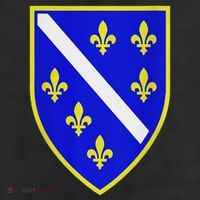 Bosnian Flag With Lily 11oz C Handle Ceramic Mug