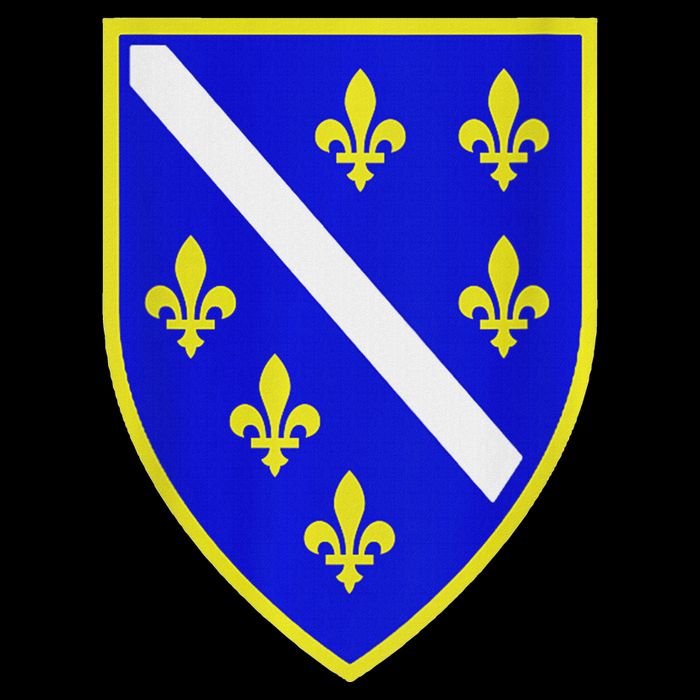 Bosnian Flag With Lily Tall Hoodie