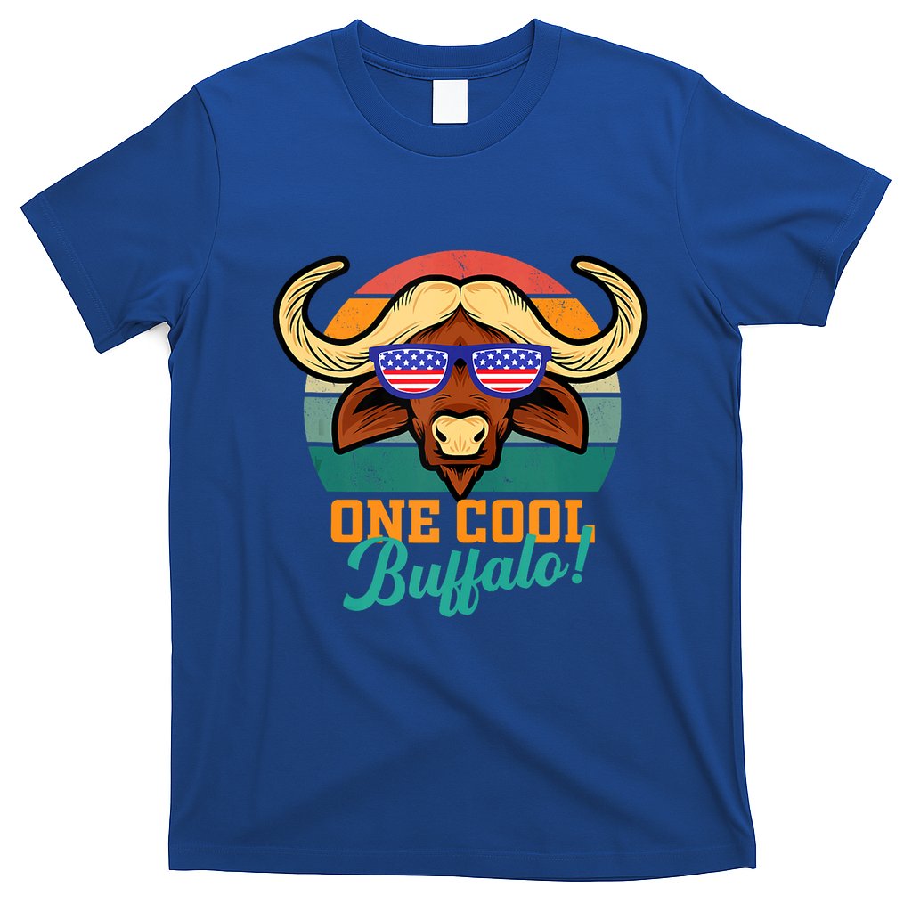 Buffalo Gifts Apparel Souvenirs Usa Flag Sports Tailgating T-Shirt