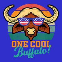 Buffalo Gifts Apparel Souvenirs Usa Flag Sports Tailgating Button