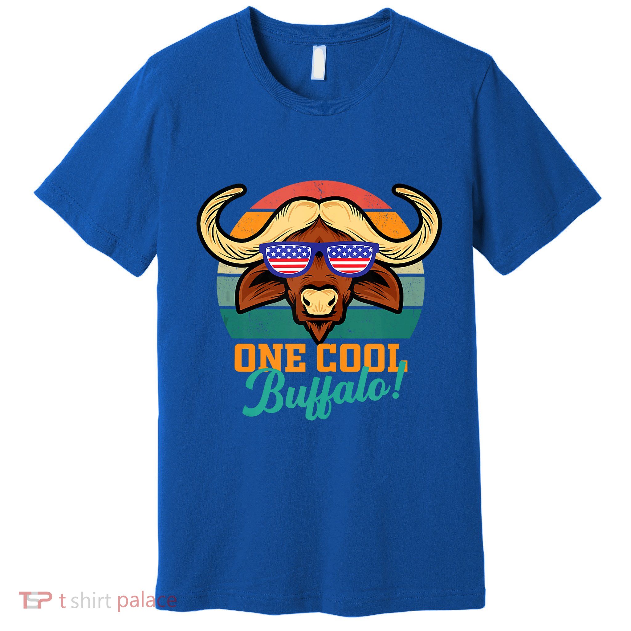 Buffalo Gifts Apparel Souvenirs Usa Flag Sports Tailgating Premium T-Shirt