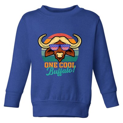 Buffalo Gifts Apparel Souvenirs Usa Flag Sports Tailgating Toddler Sweatshirt