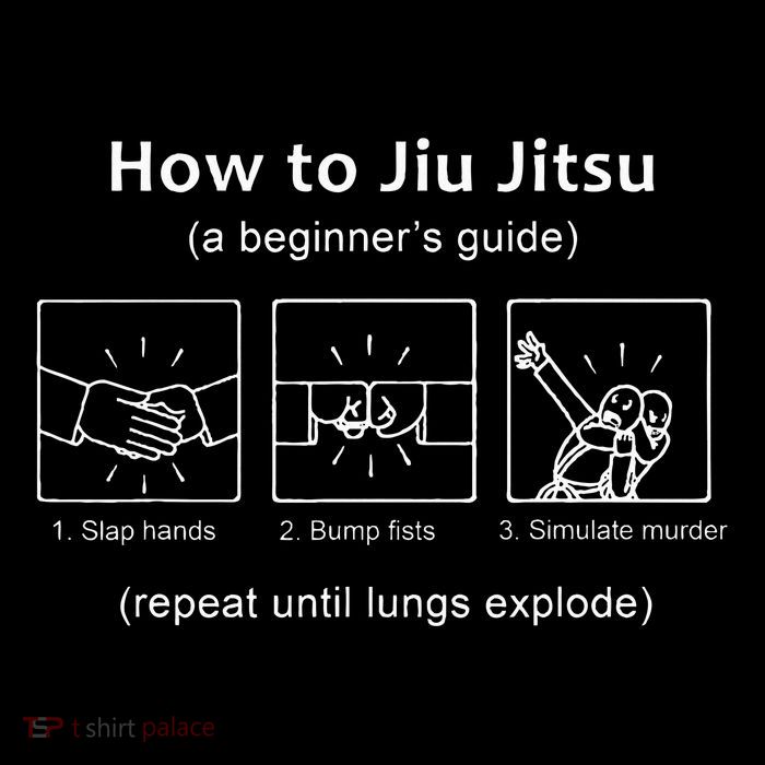Bjj Gifts Beginner Jiu Jitsu Guide Funny Brazilian Jiu Jitsu Premium T-Shirt