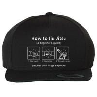 Bjj Gifts Beginner Jiu Jitsu Guide Funny Brazilian Jiu Jitsu Wool Snapback Cap