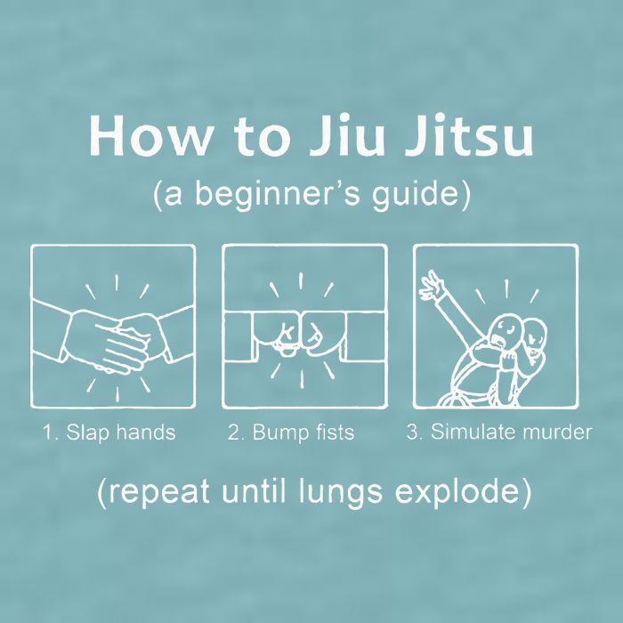 Bjj Gifts Beginner Jiu Jitsu Guide Funny Brazilian Jiu Jitsu Sueded Cloud Jersey T-Shirt