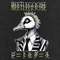 Beetle Goose Adult Drive Performance Visor
