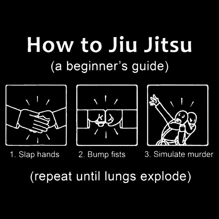 BJJ Gifts Beginner Jiu Jitsu Guide Funny Brazilian Jiu Jitsu 16 in Basic Backpack