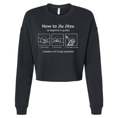 BJJ Gifts Beginner Jiu Jitsu Guide Funny Brazilian Jiu Jitsu Cropped Pullover Crew