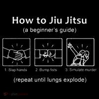 BJJ Gifts Beginner Jiu Jitsu Guide Funny Brazilian Jiu Jitsu Women's V-Neck T-Shirt