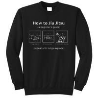 BJJ Gifts Beginner Jiu Jitsu Guide Funny Brazilian Jiu Jitsu Sweatshirt