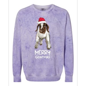 Boer Goat Christmas Merry Goatmas Colorblast Crewneck Sweatshirt