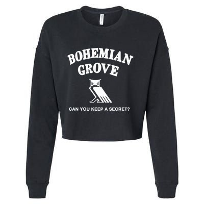 Bohemian Grove Can You Keep A Secret Cropped Pullover Crew