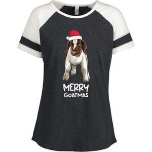 Boer goat Christmas Merry Goatmas Enza Ladies Jersey Colorblock Tee