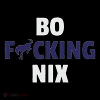 Bo Graphic Custom Nix Vintage Denver Poster