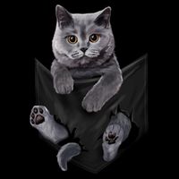 British Grey Cat In Pocket S Cats Gifts Impact Tech Backpack