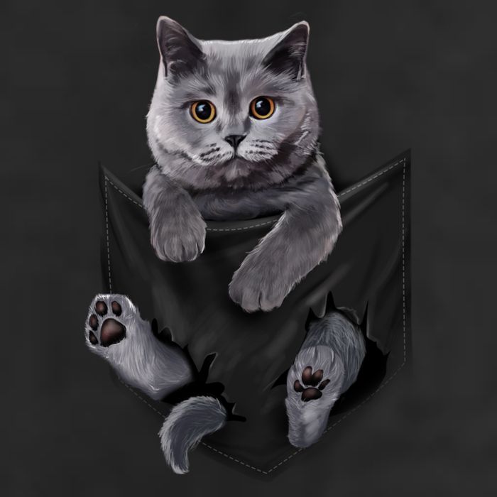 British Grey Cat In Pocket S Cats Gifts 11oz C Handle Ceramic Mug