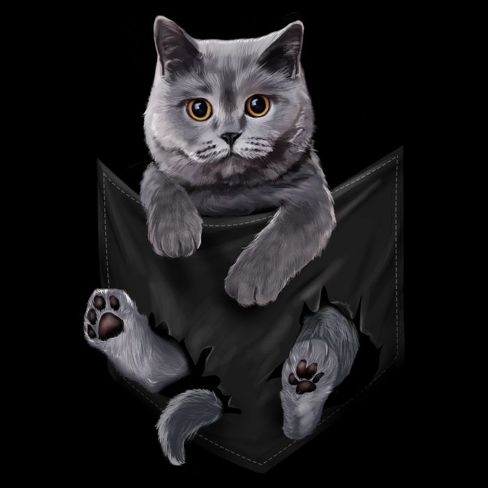 British Grey Cat In Pocket S Cats Gifts Drawstring Bag