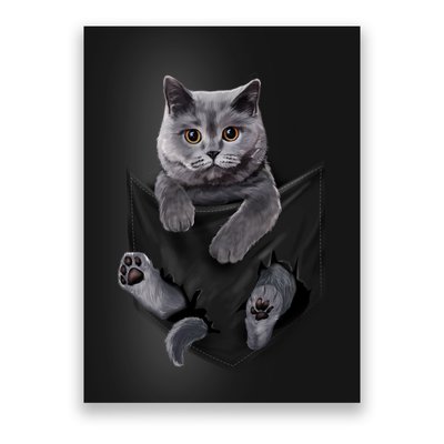 British Grey Cat In Pocket S Cats Gifts Poster