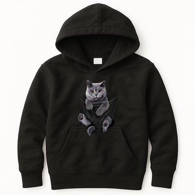 British Grey Cat In Pocket S Cats Gifts Kids Hoodie