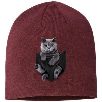 British Grey Cat In Pocket S Cats Gifts Sustainable Beanie