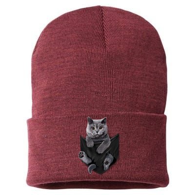 British Grey Cat In Pocket S Cats Gifts Sustainable Knit Beanie