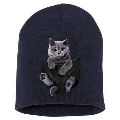 British Grey Cat In Pocket S Cats Gifts Short Acrylic Beanie