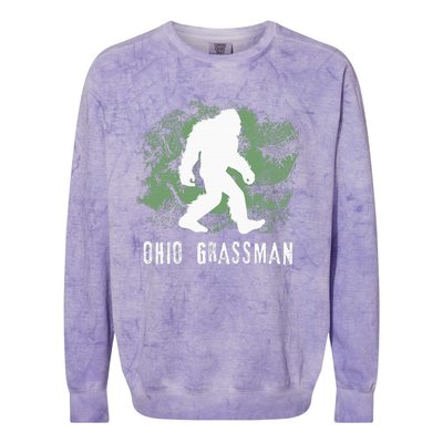 Bigfoot Grassman Cryptid Ohio Valley Park Sasquatch Colorblast Crewneck Sweatshirt