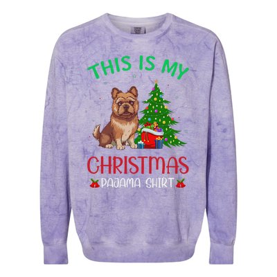 Brussels Griffon Dog Ugly Xmas This Is My Christmas Pajama Colorblast Crewneck Sweatshirt